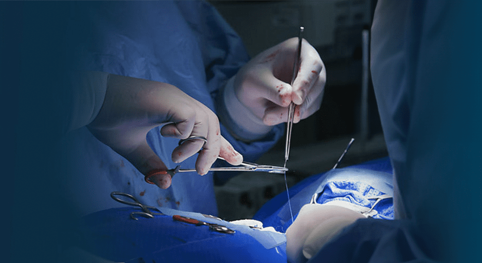 curso-teorico-pratico-de-cirurgia-cardiotoracica-veterinaria