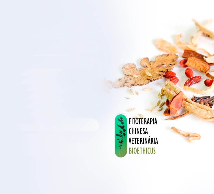 fitoterapia